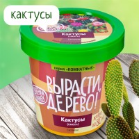 Набор для выращивания в банке Кактусы